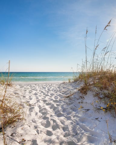 Sandy path through sea oats at Inlet Beach