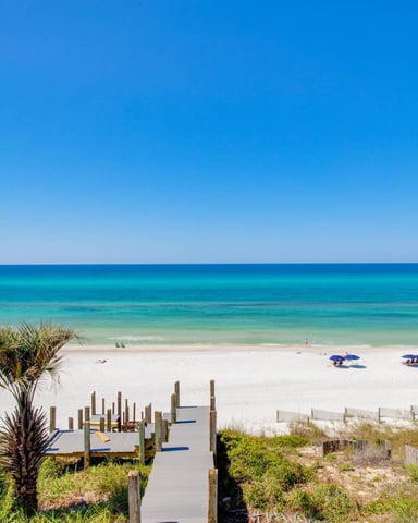 Boardwalk through sea oats to the beach along 30A