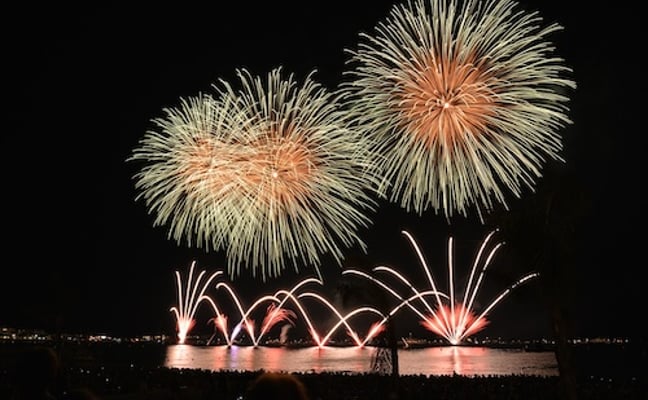 Fireworks lighting up the night sky over the lagoon