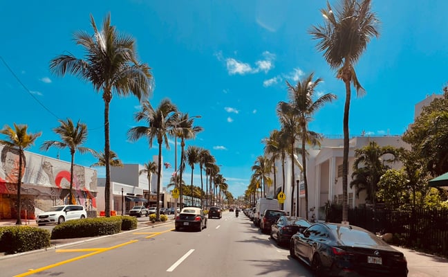Florida street lined with tall palm trees and shops on a sunny day