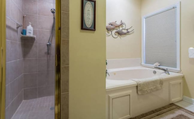 Shipwatch master bath shower before renovation